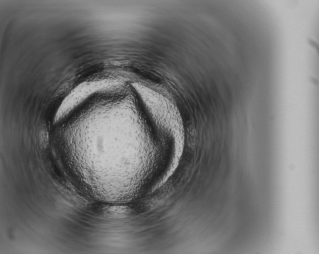 X0000096490324200802141752