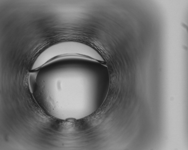 X0000096490325200802141752