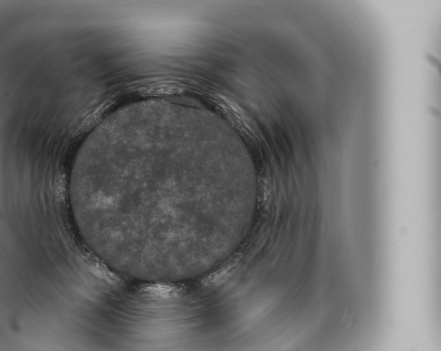 X0000096490326200802141752