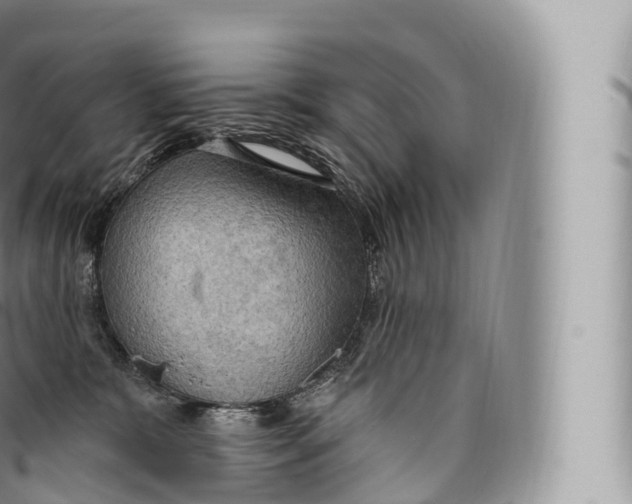 X0000096490327200802141752