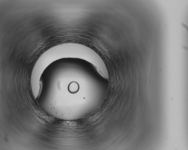 X0000096490328200802141752