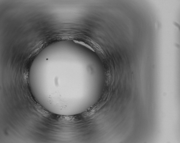 X0000096490329200802141752