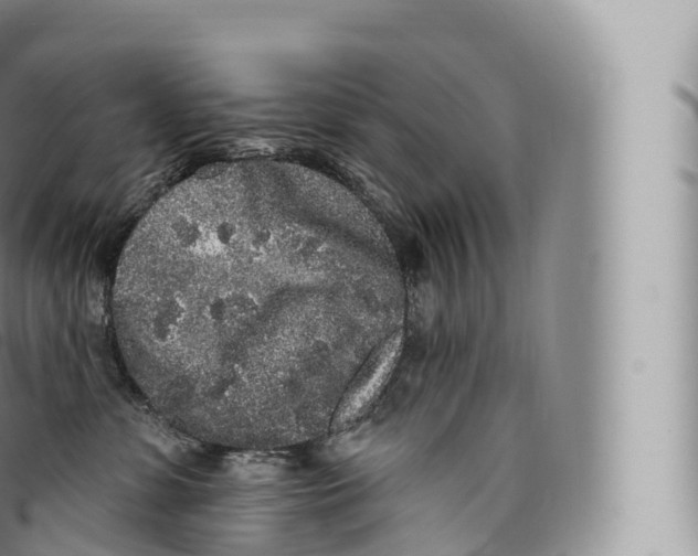 X0000096490331200802141752