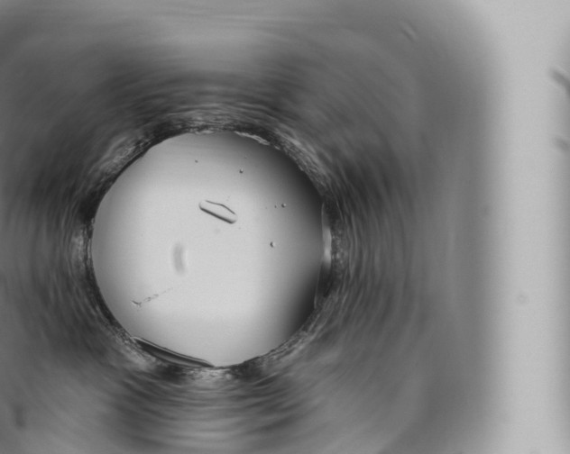 X0000096490333200802141752