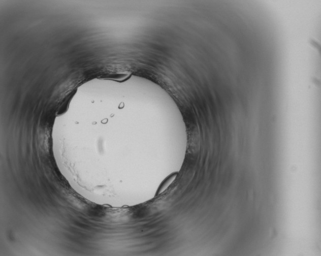 X0000096490334200802141752