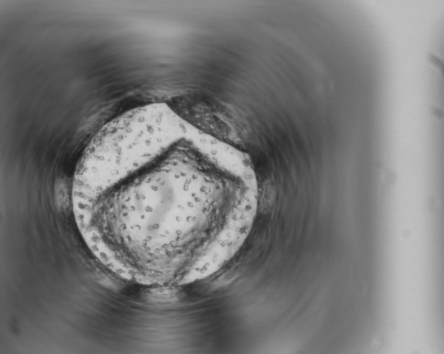 X0000096490335200802141752