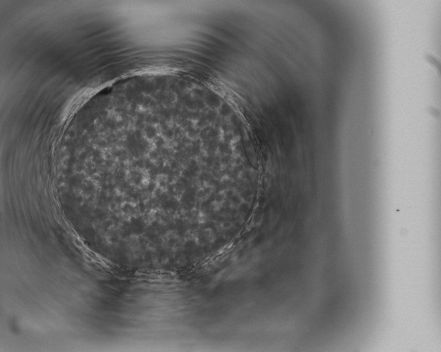 X0000096490337200802141751