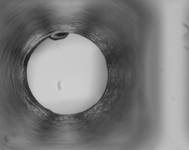 X0000096490338200802141751