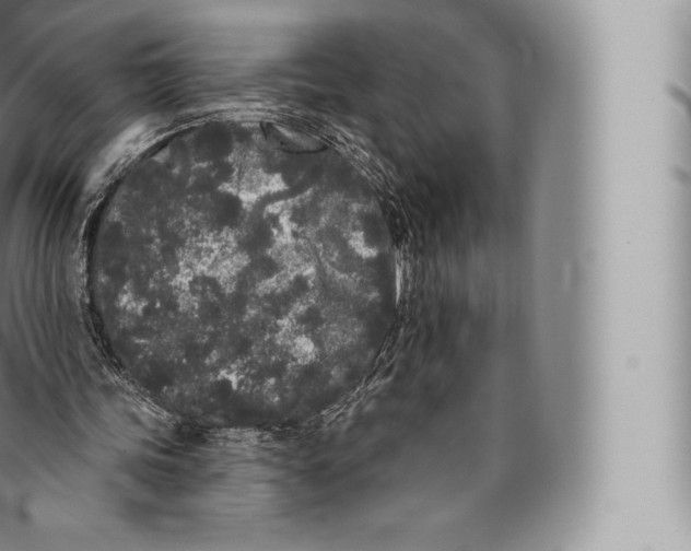 X0000096490339200802141751