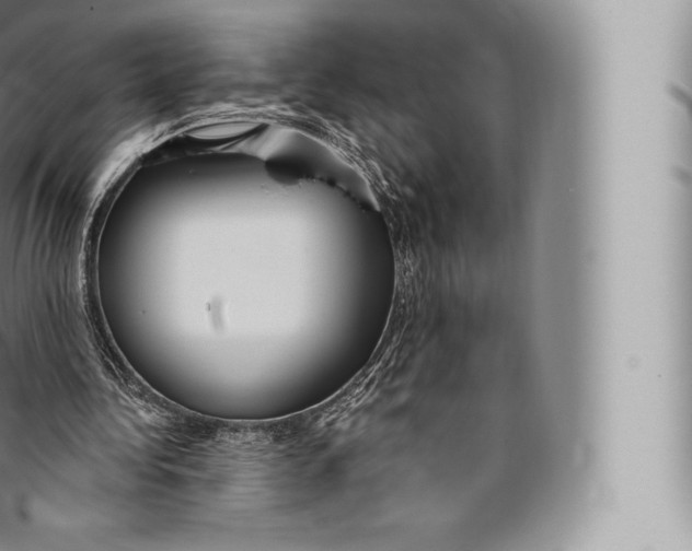 X0000096490340200802141751