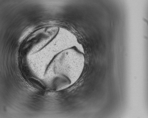 X0000096490341200802141751