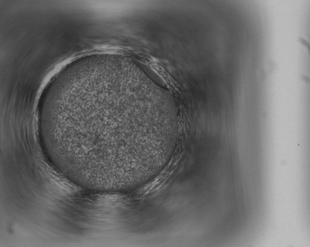 X0000096490342200802141751