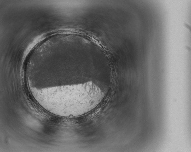 X0000096490343200802141751