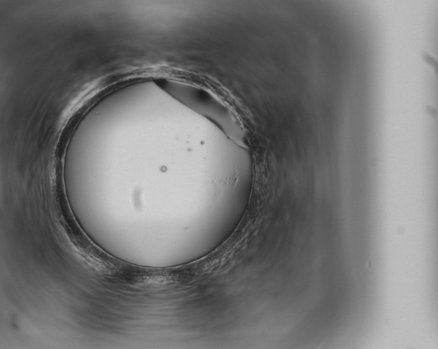 X0000096490344200802141751