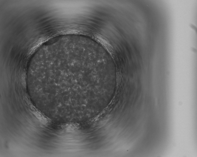 X0000096490345200802141751