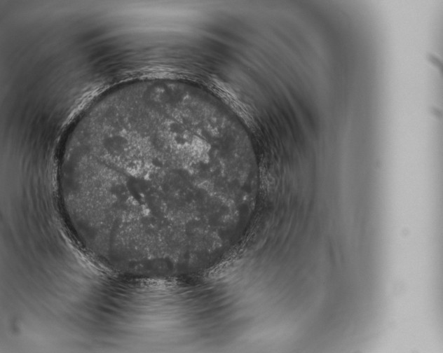 X0000096490347200802141751