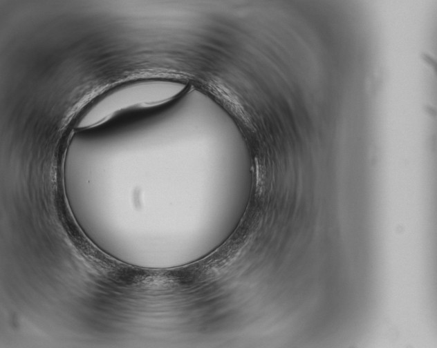 X0000096490348200802141751