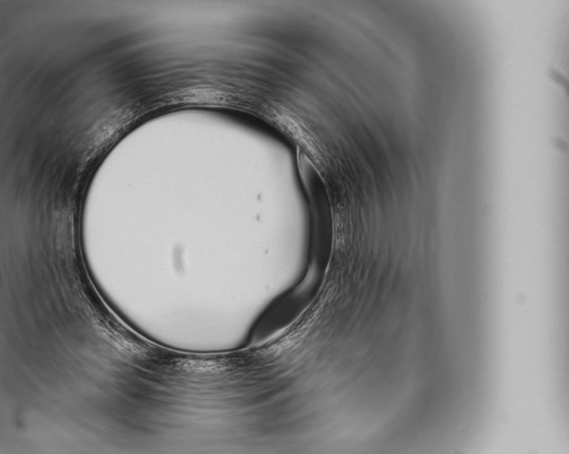 X0000096490349200802141751