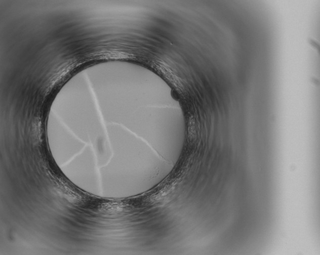 X0000096490351200802141751