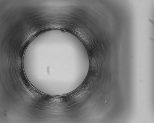 X0000096490352200802141751