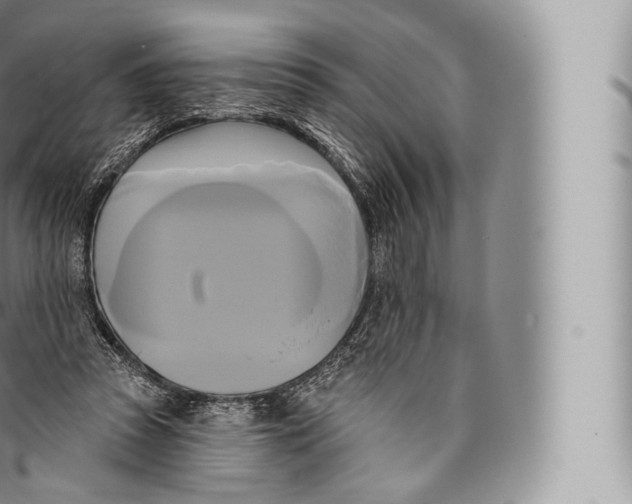 X0000096490353200802141751