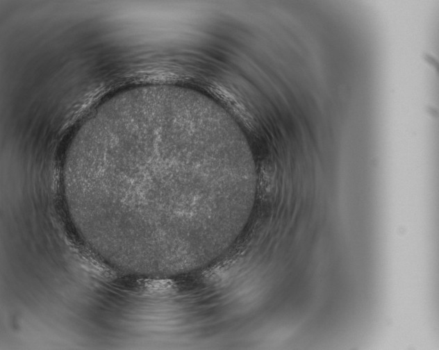 X0000096490355200802141751