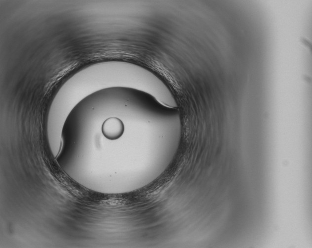 X0000096490356200802141751