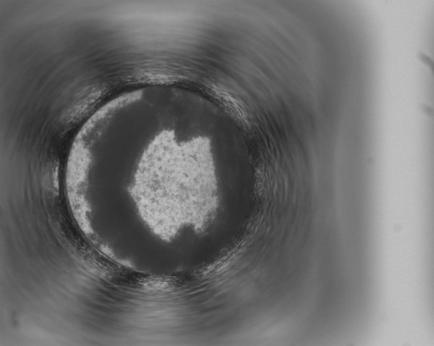 X0000096490358200802141751