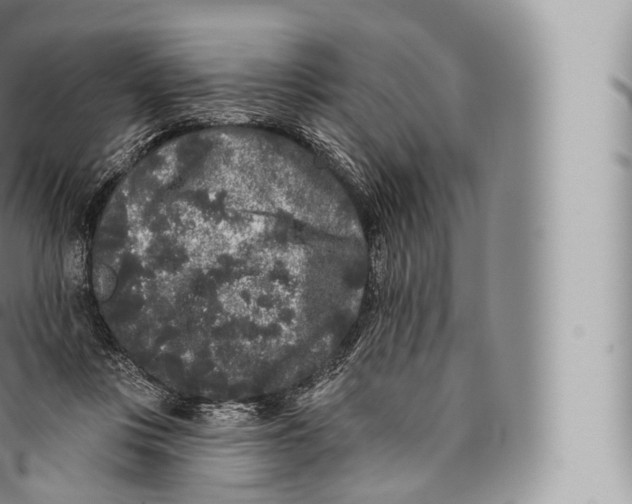 X0000096490359200802141751