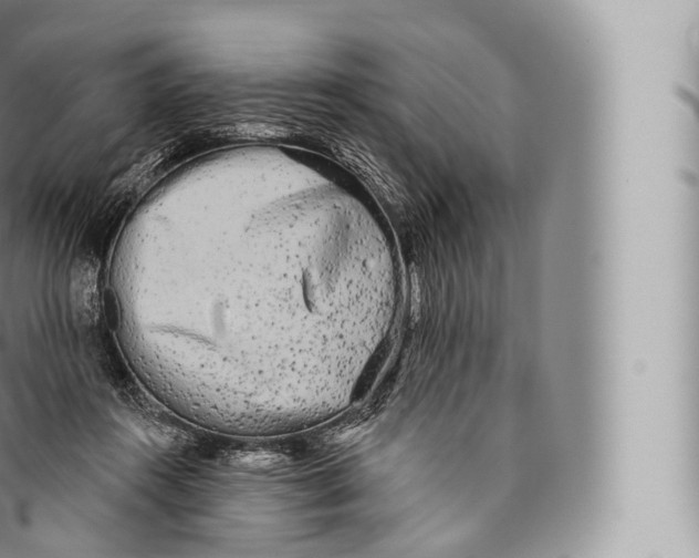 X0000096490360200802141751