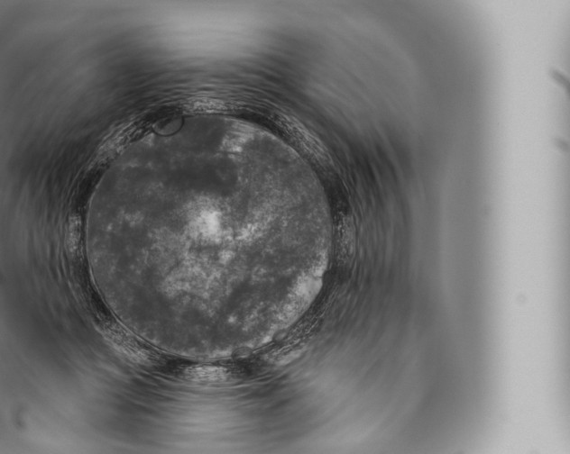 X0000096490361200802141751