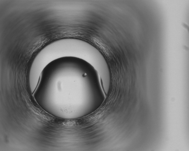 X0000096490362200802141751