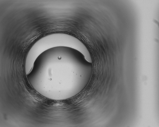 X0000096490364200802141751