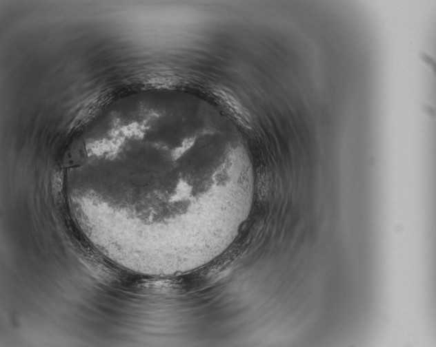 X0000096490365200802141751