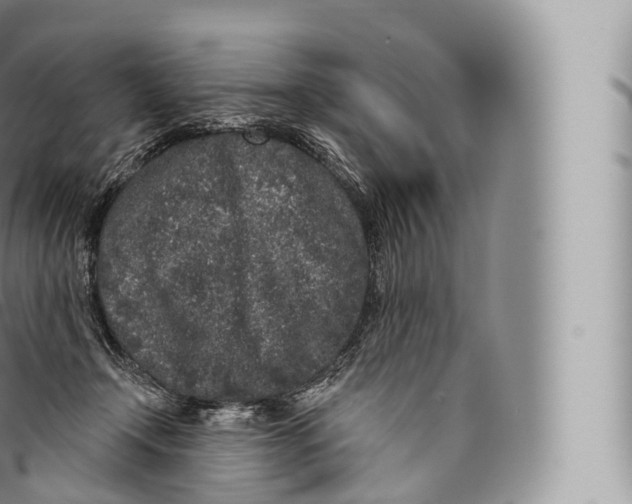 X0000096490366200802141751