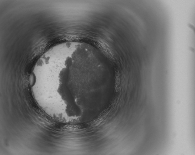 X0000096490367200802141751