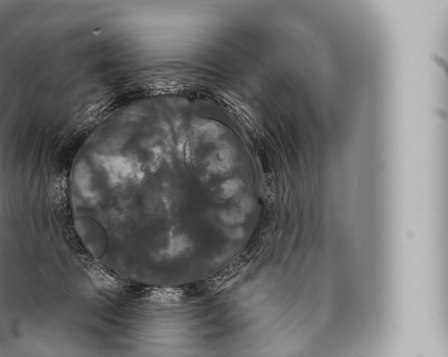 X0000096490369200802141751