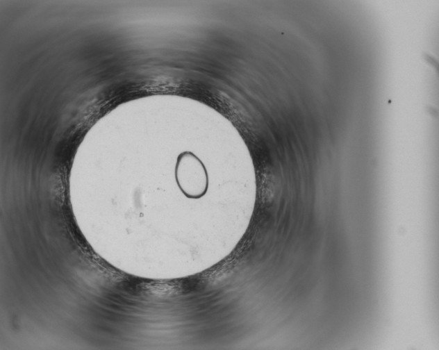 X0000096490370200802141751