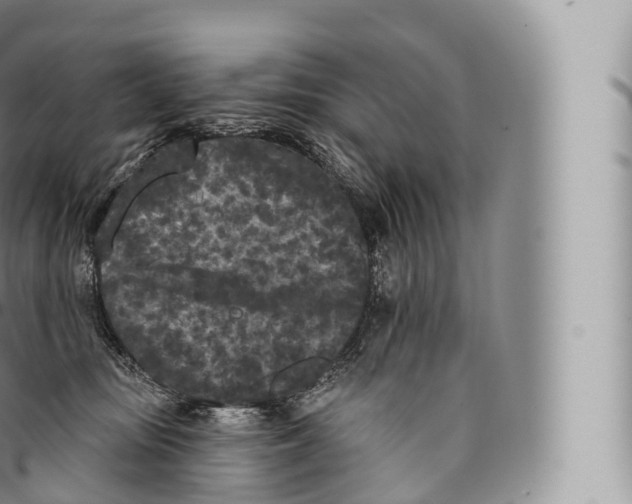 X0000096490371200802141751