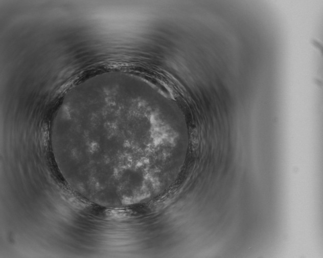 X0000096490372200802141751