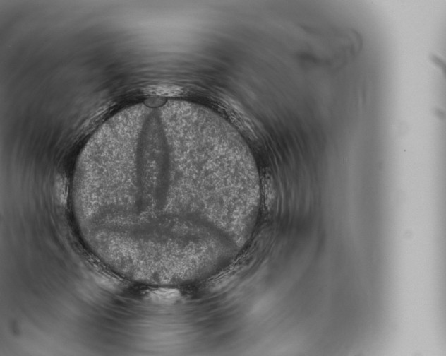 X0000096490374200802141751