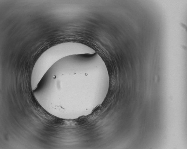 X0000096490376200802141752