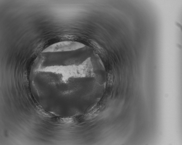 X0000096490377200802141752