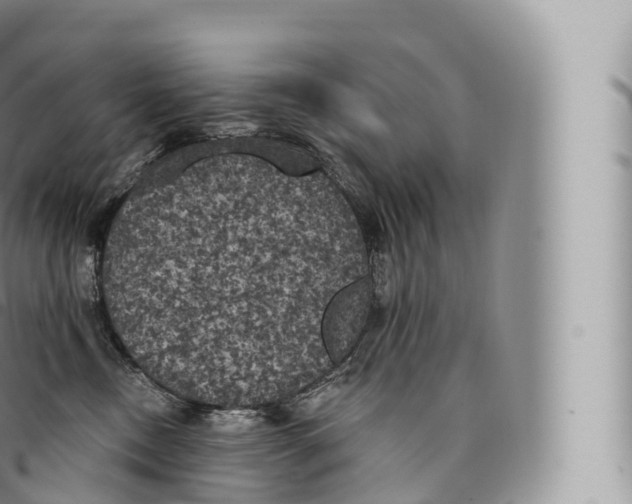 X0000096490378200802141752