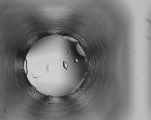 X0000096490380200802141752