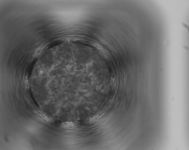 X0000096490381200802141752