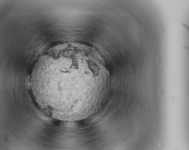 X0000096490383200802141752