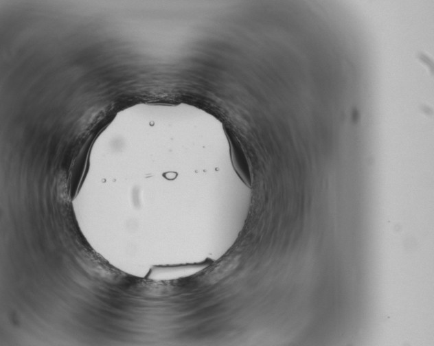 X0000096490384200802141752