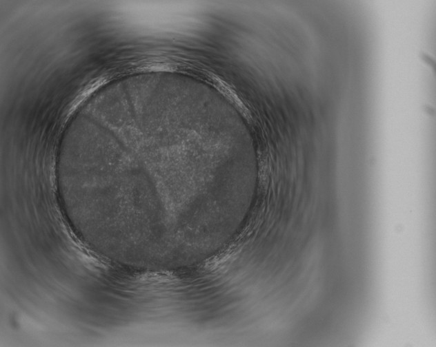 X0000096490386200802141751