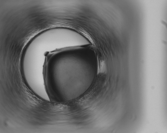 X0000096490387200802141751